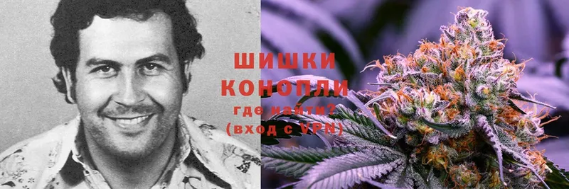 купить  цена  даркнет формула  Канабис White Widow  Ленинск-Кузнецкий  ссылка на мегу ТОР 